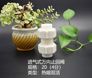 進(jìn)氣式萬向止回閥